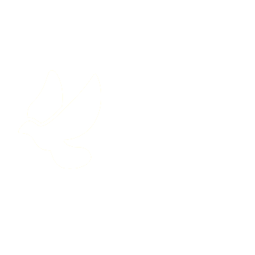 The London Story